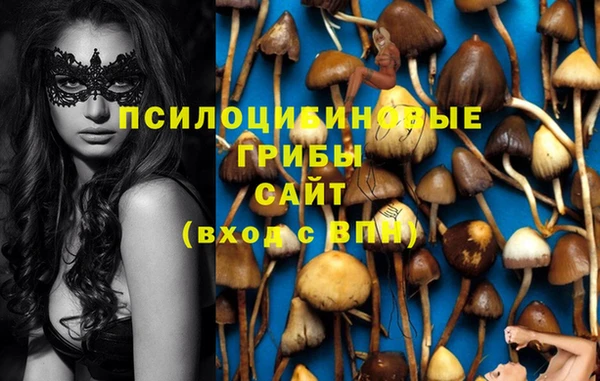 сатива Абдулино