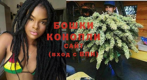 сатива Абдулино