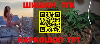 ешки Новодвинск