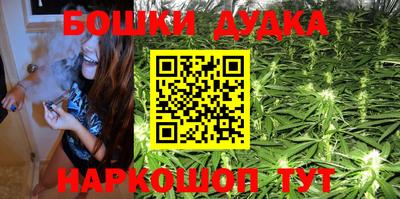 ешки Новодвинск
