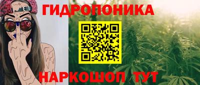 ешки Новодвинск