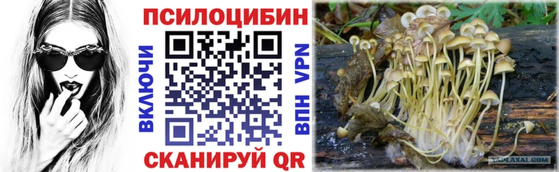 купить наркоту  kraken как войти  Псилоцибиновые грибы мухоморы  Шебекино 