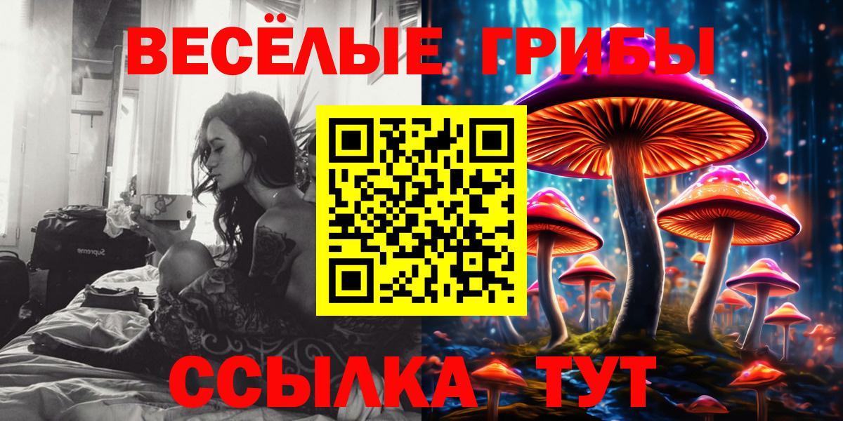 Галлюциногенные грибы GOLDEN TEACHER Шебекино