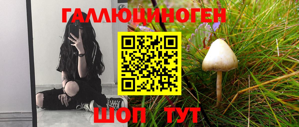 Галлюциногенные грибы ЛСД  Вход с VPN  Шебекино 